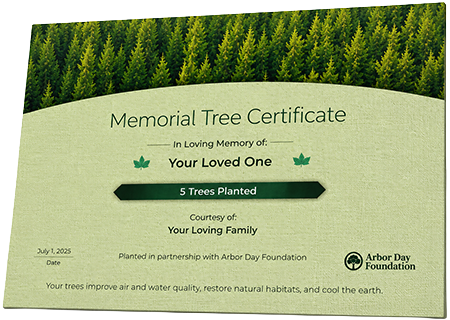 Plant Trees in Memory of Edward David Johnson Jr